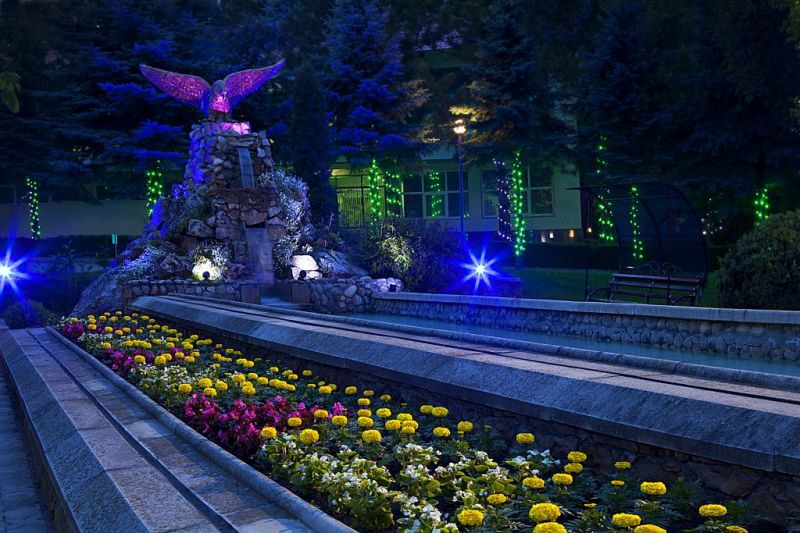 Санаторий "Лесной"