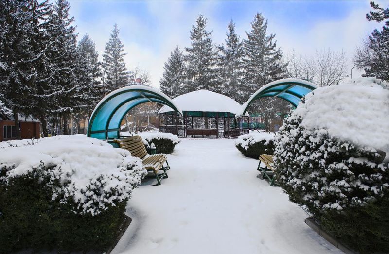 Санаторий "Лесной"